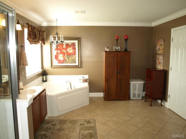 324 Copper Tree Ct, O'fallon, MO 63368 photo 14