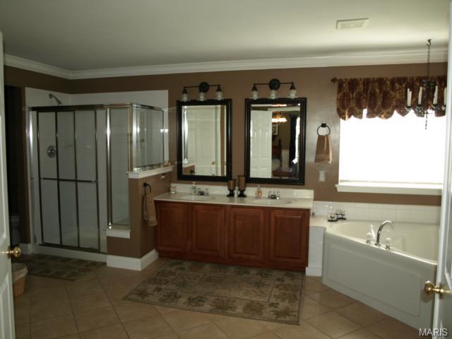 324 Copper Tree Ct, O'fallon, MO 63368 photo 13