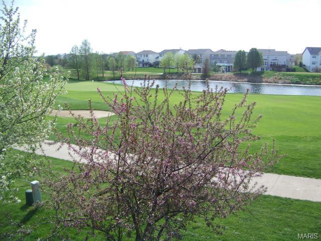 744 Hawk Run Dr, O'fallon, MO 63368 photo 7