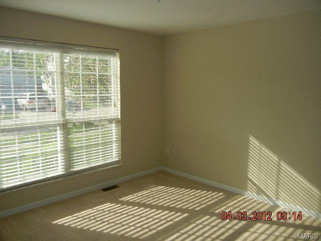 15 Forest Pine Ct, O'fallon, MO 63368 photo 8