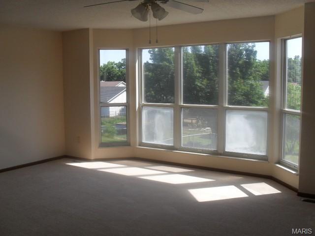 220 Brougham Dr, O'fallon, MO 63368 photo 4