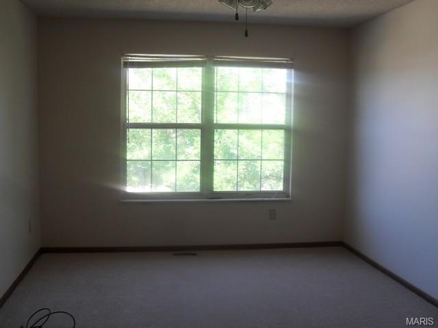 220 Brougham Dr, O'fallon, MO 63368 photo 12