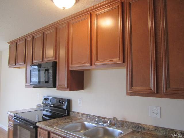 217 Roaring River Dr, O'fallon, MO 63366 photo 6