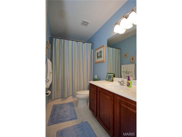 118 Cloverleaf Meadows Ct, O'fallon, MO 63366 photo 17