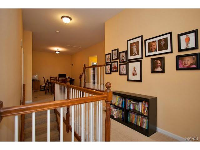 118 Cloverleaf Meadows Ct, O'fallon, MO 63366 photo 20