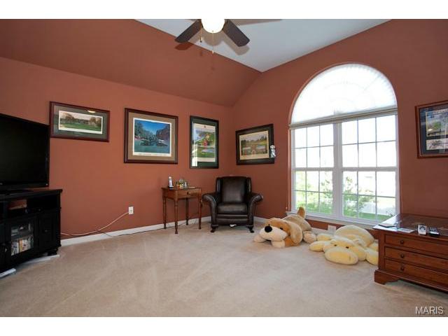 118 Cloverleaf Meadows Ct, O'fallon, MO 63366 photo 21