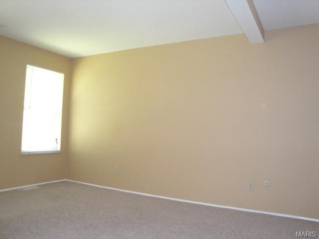 697 Walnut Point Ct, Ballwin, MO 63021 photo 5