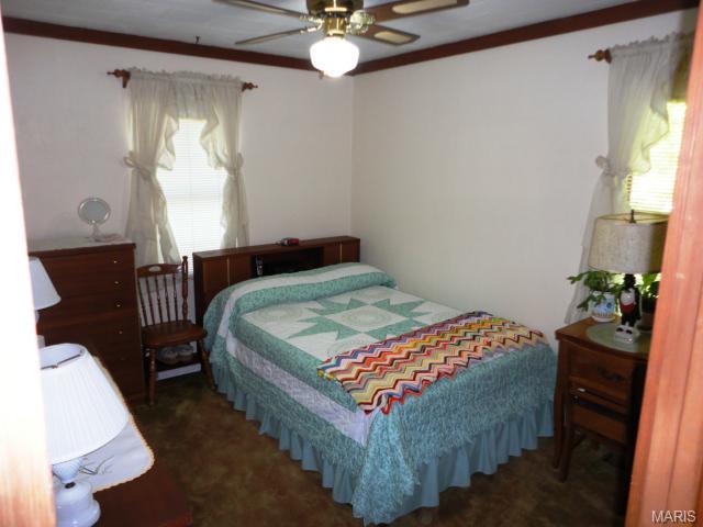 3969 Wright Ave, Saint Ann, MO 63074 photo 15