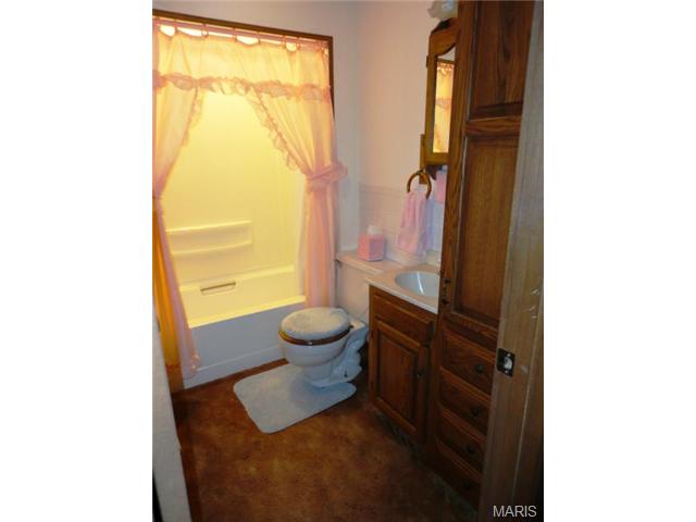 3969 Wright Ave, Saint Ann, MO 63074 photo 18