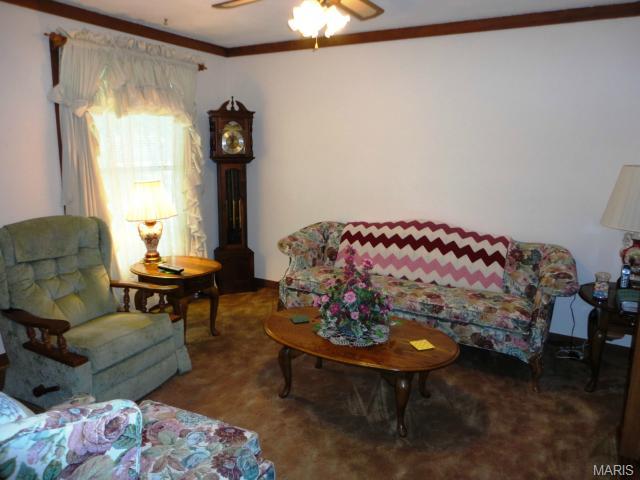 3969 Wright Ave, Saint Ann, MO 63074 photo 2