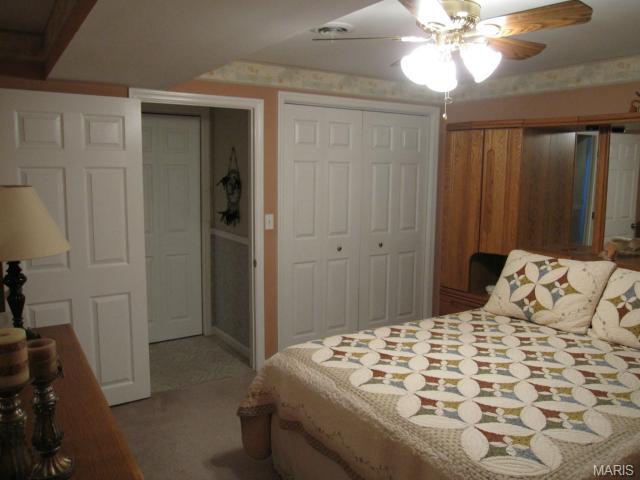 22 Christine Dr, O'fallon, MO 63366 photo 21