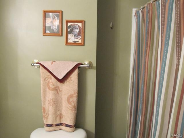 22 Christine Dr, O'fallon, MO 63366 photo 28