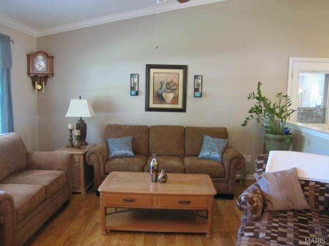 22 Christine Dr, O'fallon, MO 63366 photo 3