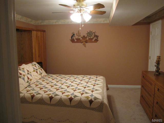 22 Christine Dr, O'fallon, MO 63366 photo 20