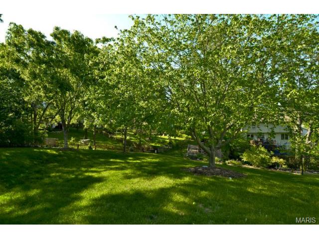 144 Cedar Crest Ct, Weldon Spring, MO 63304 photo 17