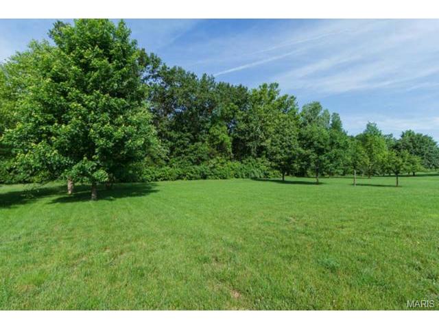 837 Dunbarton Dr, Weldon Spring, MO 63304 photo 38