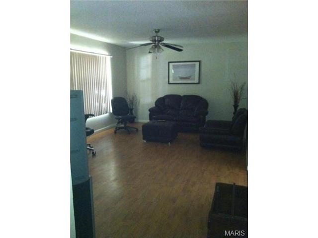 4 Reno Ct, O'fallon, MO 63368 photo 3