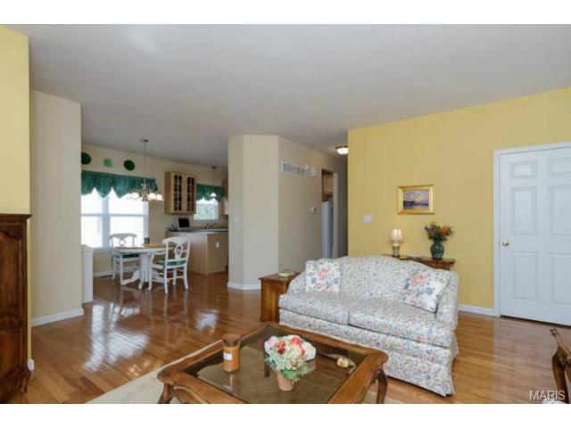 578 Misty Mountain Dr, O'fallon, MO 63368 photo 7
