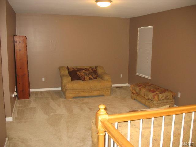 1108 Spring Orchard Dr, O'fallon, MO 63368 photo 11