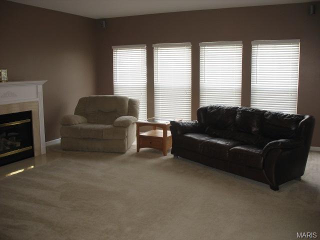 1108 Spring Orchard Dr, O'fallon, MO 63368 photo 6