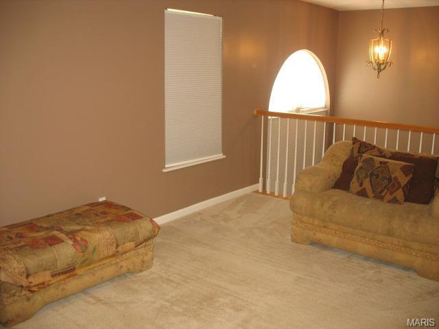 1108 Spring Orchard Dr, O'fallon, MO 63368 photo 12