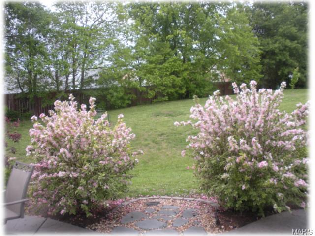 29 Keystone Ct, O'fallon, MO 63368 photo 26