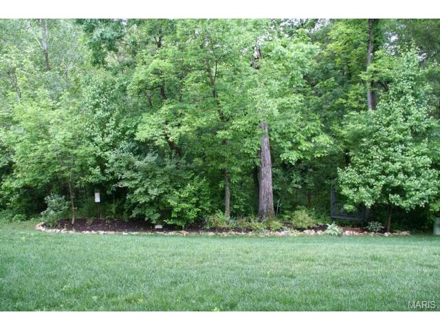 869 Kingsgate Dr, O'fallon, MO 63368 photo 36