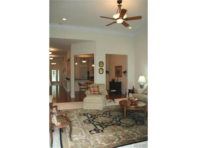 869 Kingsgate Dr, O'fallon, MO 63368 photo 17