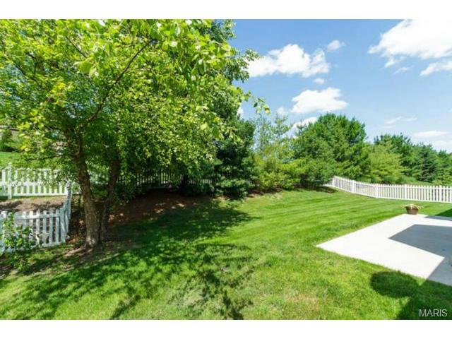 917 Cypress Trl, O'fallon, MO 63368 photo 24