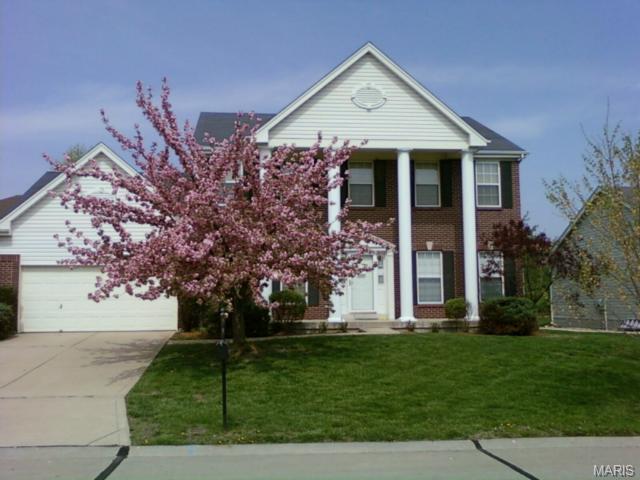 917 Cypress Trl, O'fallon, MO 63368 photo 28