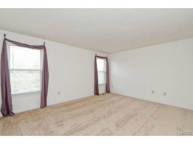 917 Cypress Trl, O'fallon, MO 63368 photo 23