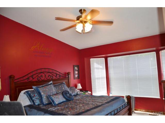 807 Lakeside Mnr, O'fallon, MO 63366 photo 10