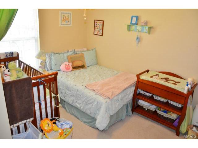 807 Lakeside Mnr, O'fallon, MO 63366 photo 13