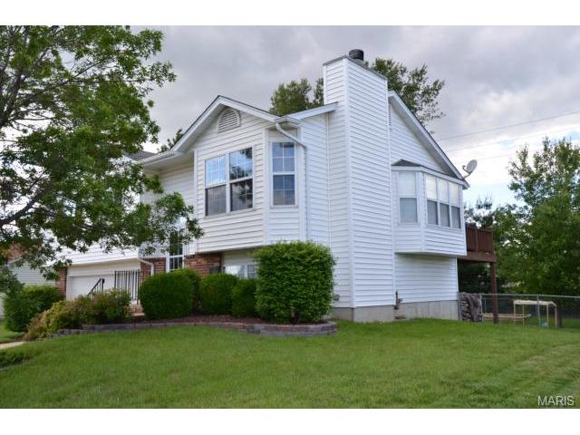 807 Lakeside Mnr, O'fallon, MO 63366 photo 16