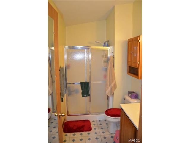 807 Lakeside Mnr, O'fallon, MO 63366 photo 46