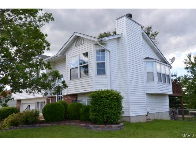 807 Lakeside Mnr, O'fallon, MO 63366 photo 17