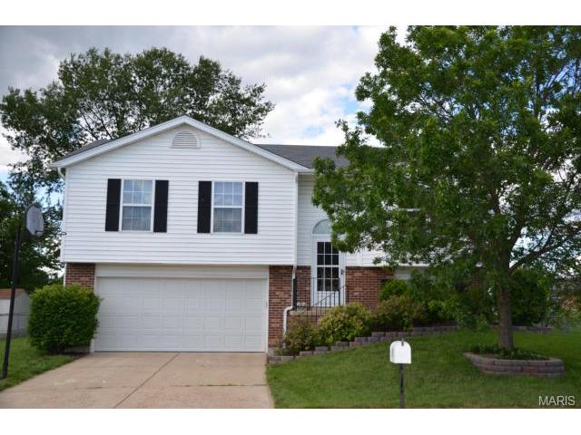 807 Lakeside Mnr, O'fallon, MO 63366 photo 18