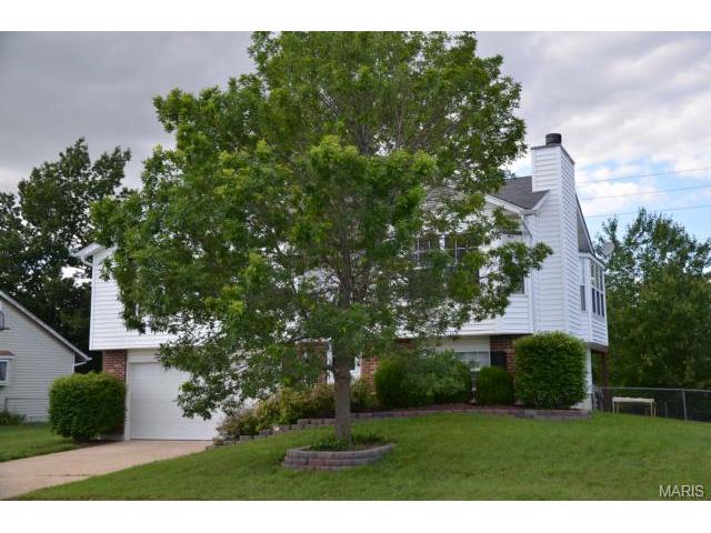 807 Lakeside Mnr, O'fallon, MO 63366 photo 5