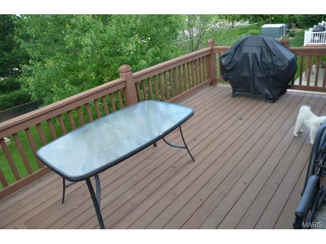807 Lakeside Mnr, O'fallon, MO 63366 photo 48