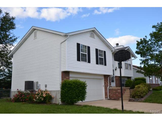 807 Lakeside Mnr, O'fallon, MO 63366 photo 20