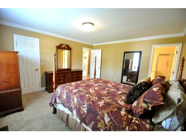 16 Snowbird Ct, O'fallon, MO 63366 photo 16