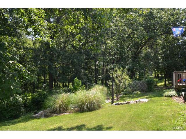 1116 Patsy Ln, O'fallon, MO 63366 photo 10