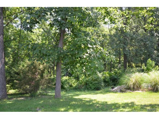 1116 Patsy Ln, O'fallon, MO 63366 photo 9