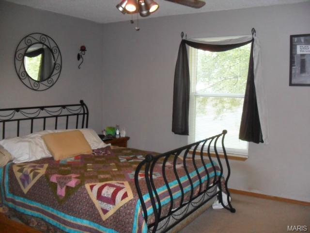 525 Sunward, O'fallon, MO 63368 photo 25