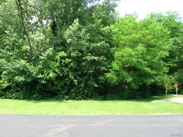 79 Jakes Ct, O'fallon, MO 63366 photo 23