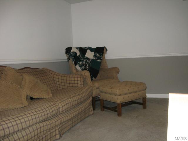 79 Jakes Ct, O'fallon, MO 63366 photo 20