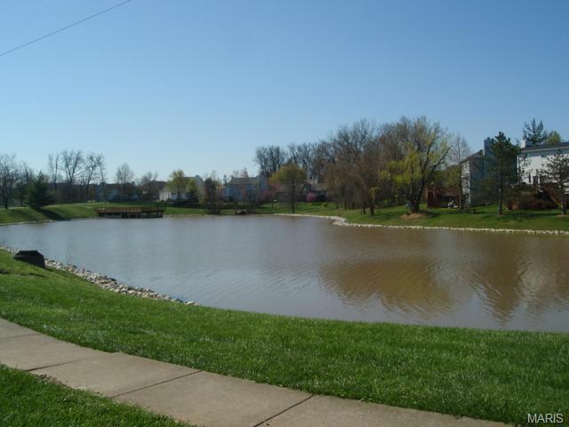 7350 The Cedars Dr, O'fallon, MO 63368 photo 28
