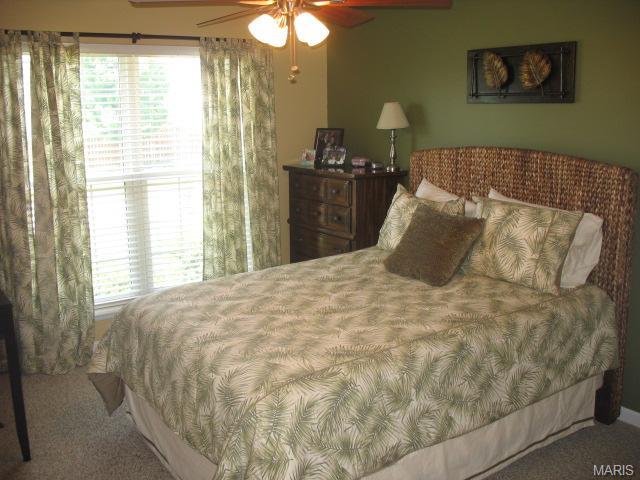 3 Crawford Ct, O'fallon, MO 63366 photo 16