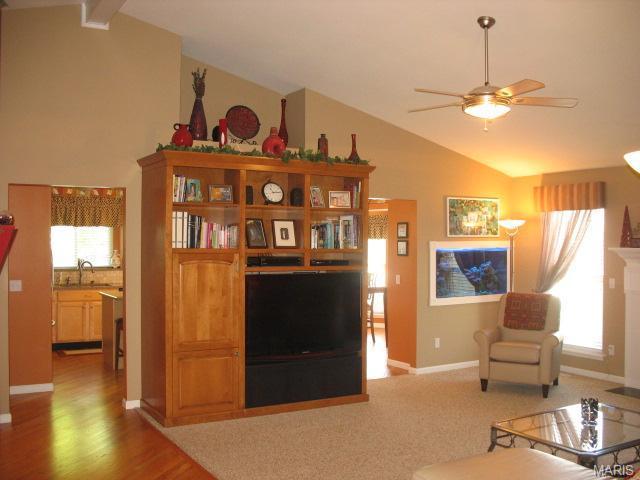 3 Crawford Ct, O'fallon, MO 63366 photo 43