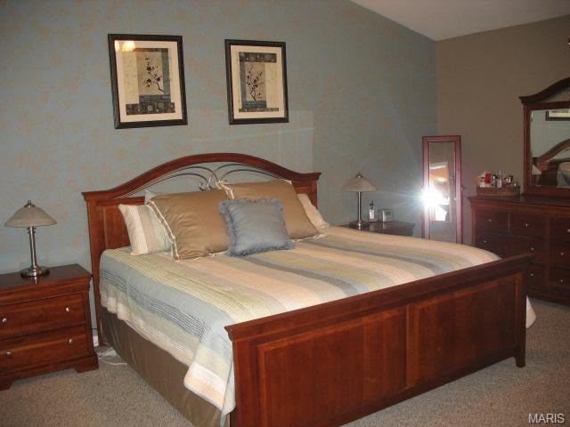 3 Crawford Ct, O'fallon, MO 63366 photo 12